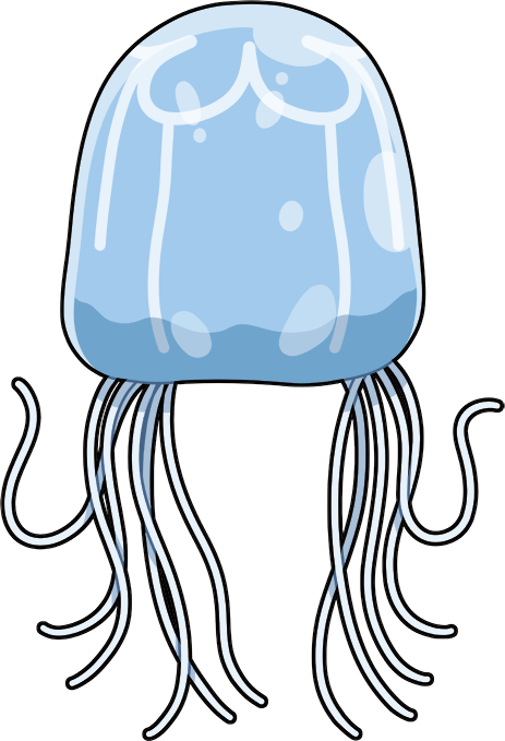 クラゲ(キロネックス)